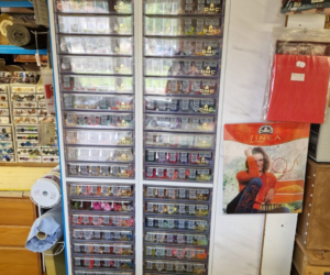 Chamaye photos (5)